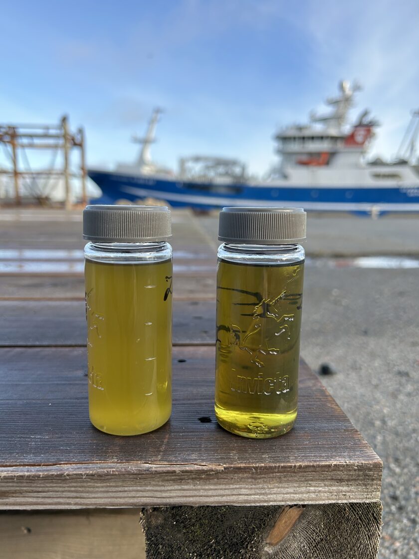 Partikkelanalyse og måling